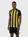 hmlMATCH STRIPED JERSEY S/S