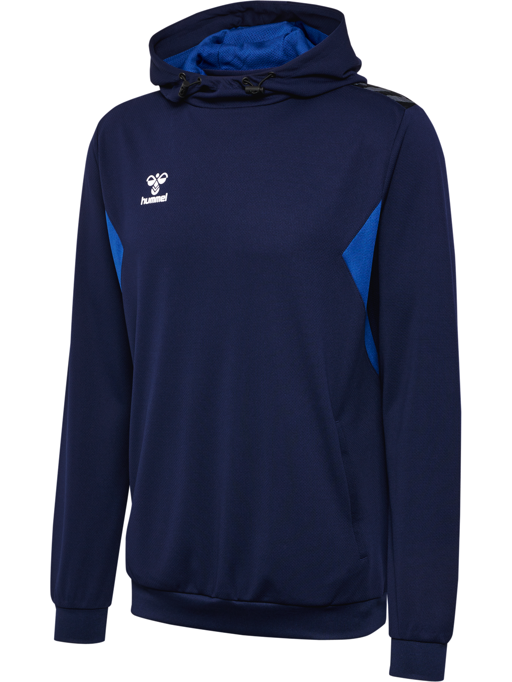 hmlAUTHENTIC PL HOODIE