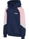 hmlJR LOOSE BLOCKED HOODIE