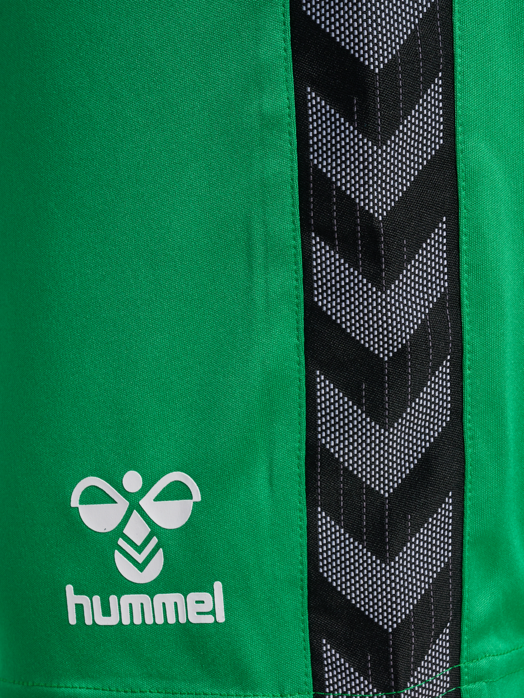 hmlAUTHENTIC PL SHORTS