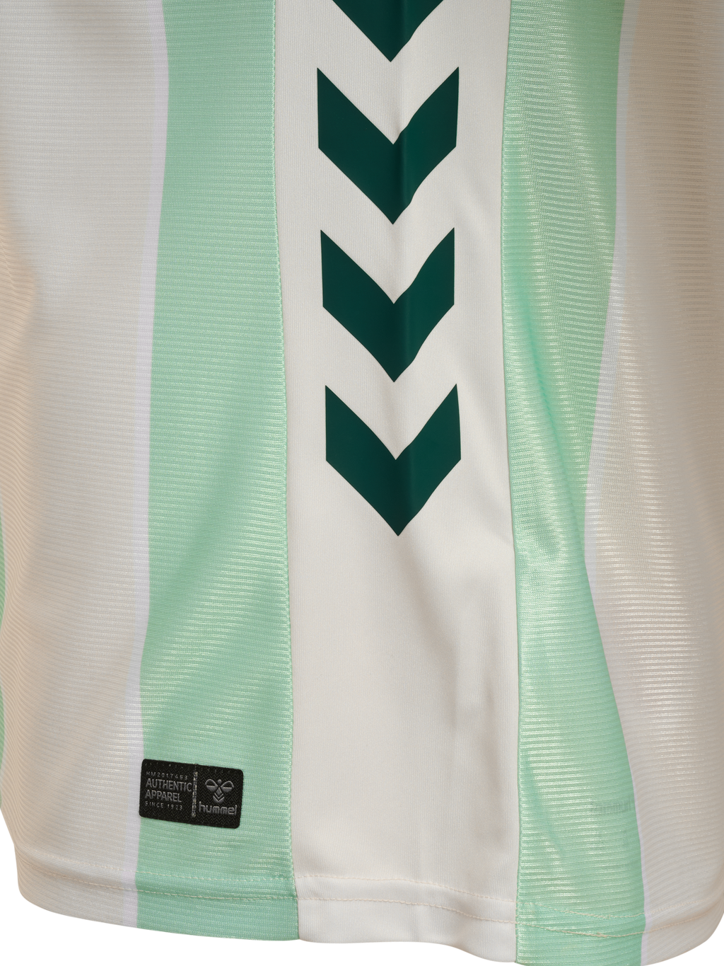WER 25/26 INCLUSION JERSEY S/S