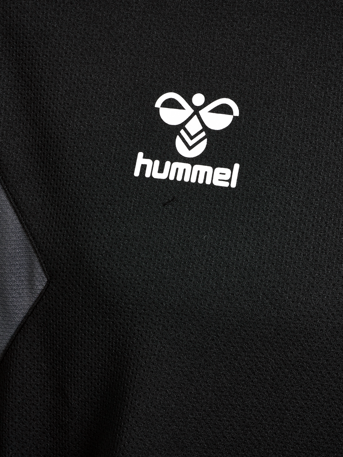 hmlAUTHENTIC PL HOODIE