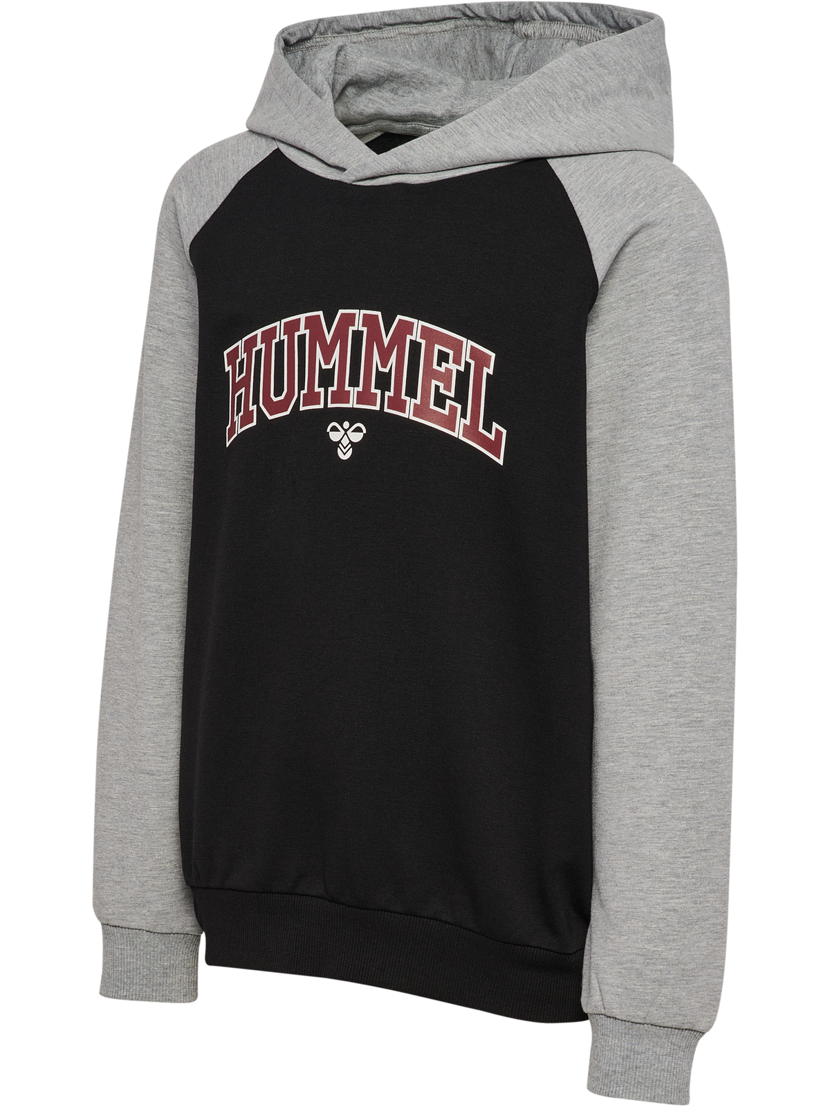 hmlESSEN HOODIE