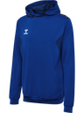 hmlAUTHENTIC PL HOODIE