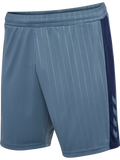 hmlPULSE STRIPE BLOCKED SHORTS
