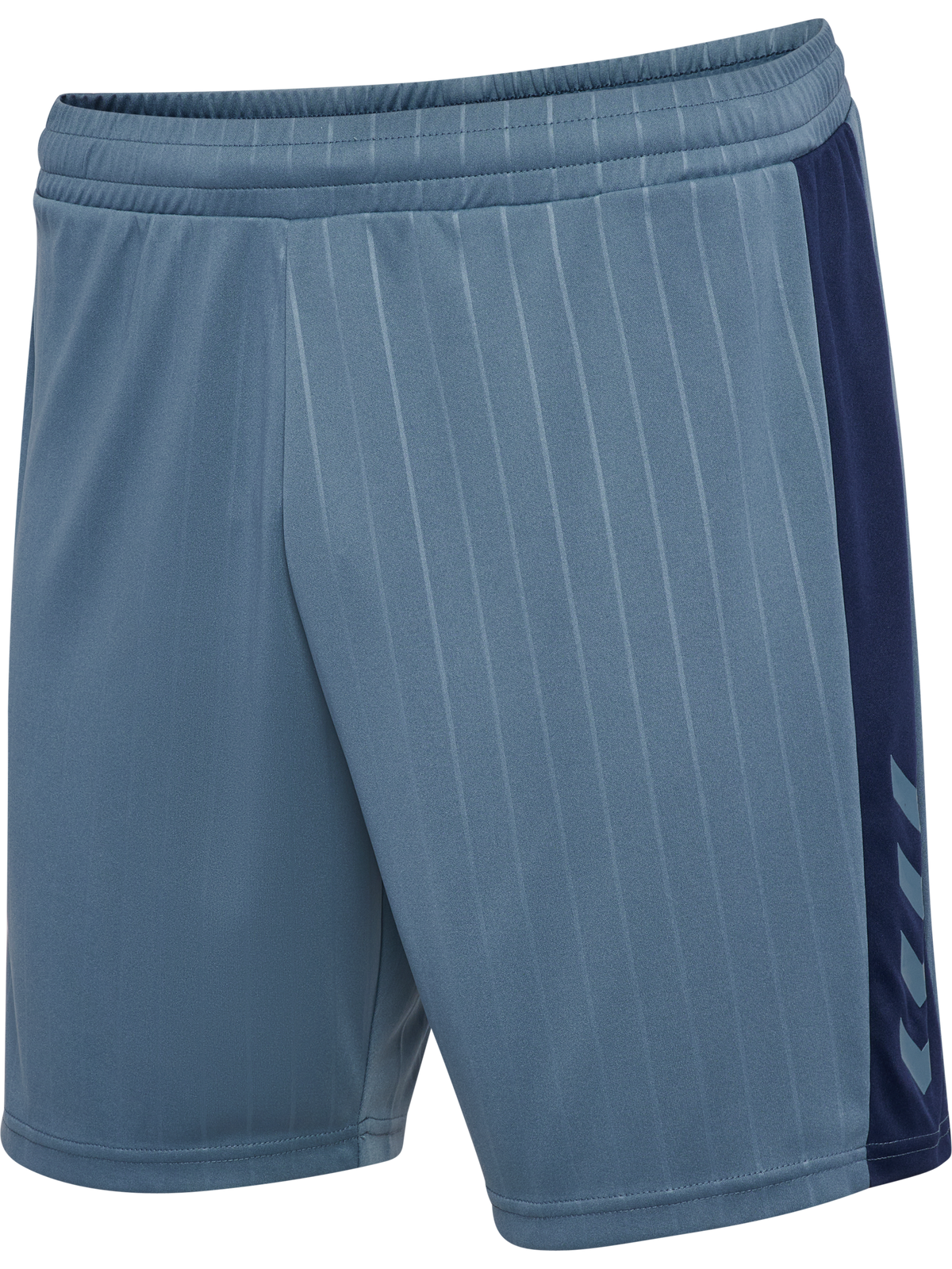 hmlPULSE STRIPE BLOCKED SHORTS