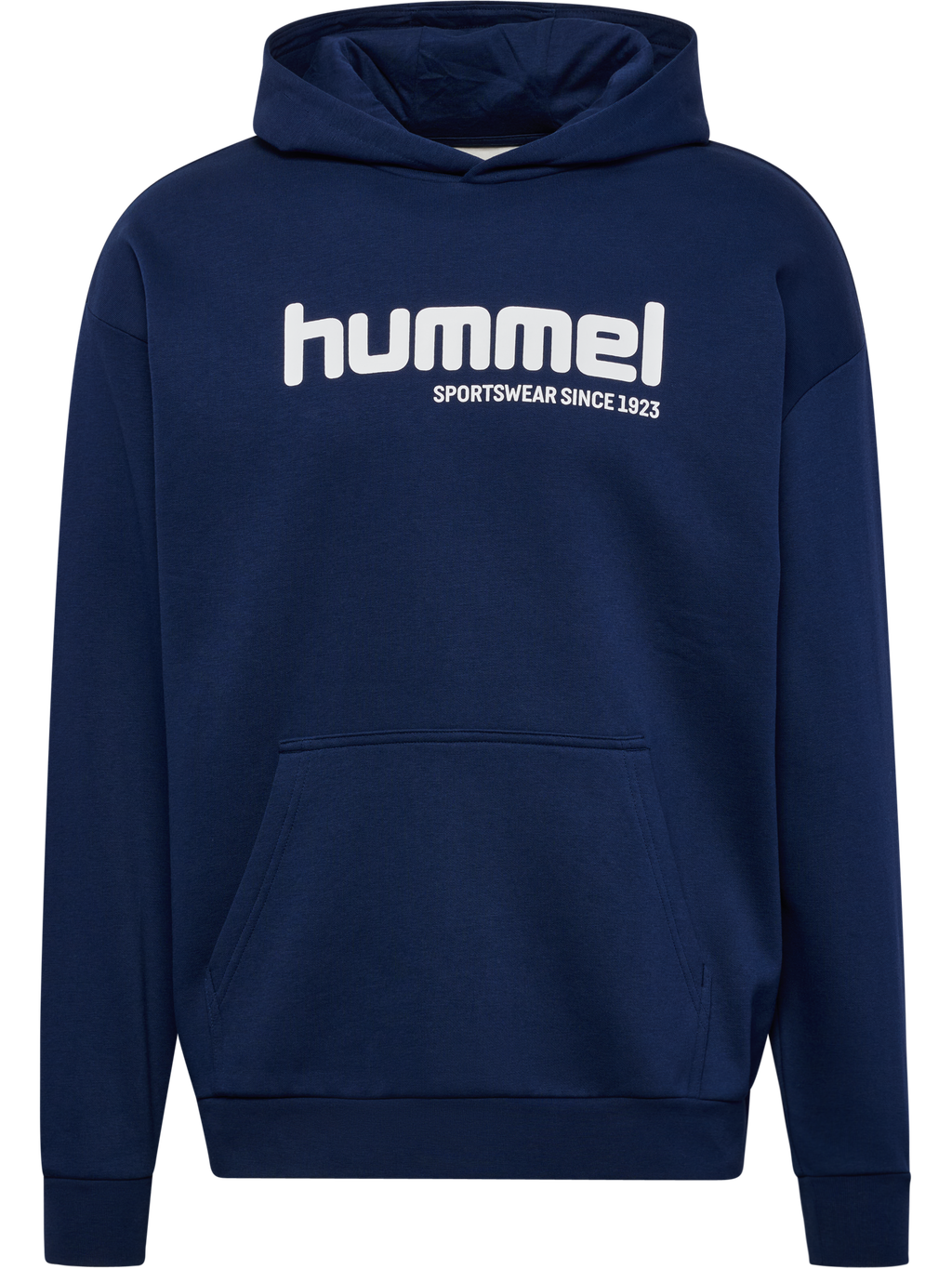hmlSW GRAPHIC HOODIE