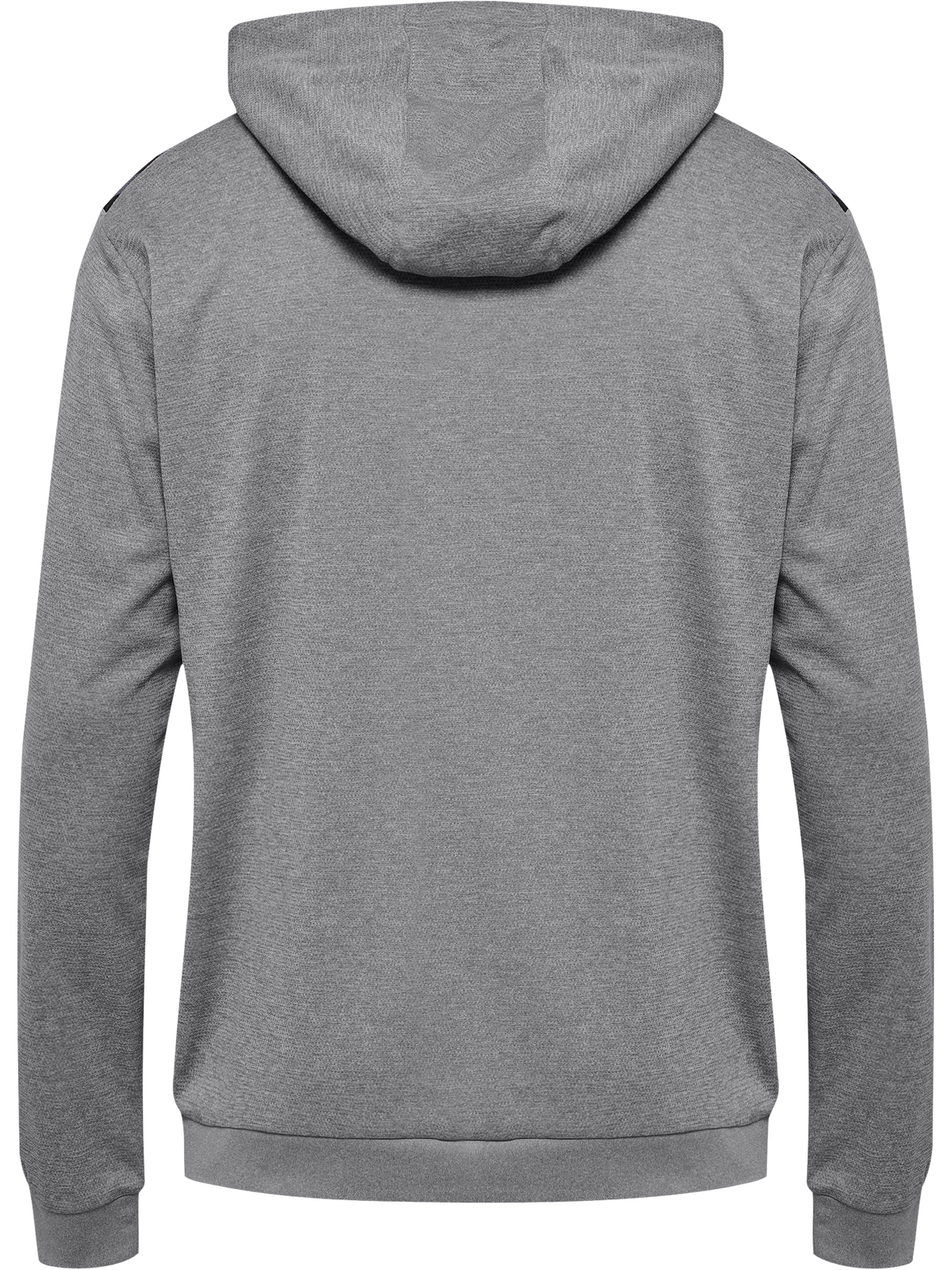 hmlAUTHENTIC PL HOODIE