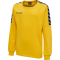 hmlAUTHENTIC KIDS TRAINING SWEAT