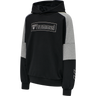 hmlBOXLINE HOODIE