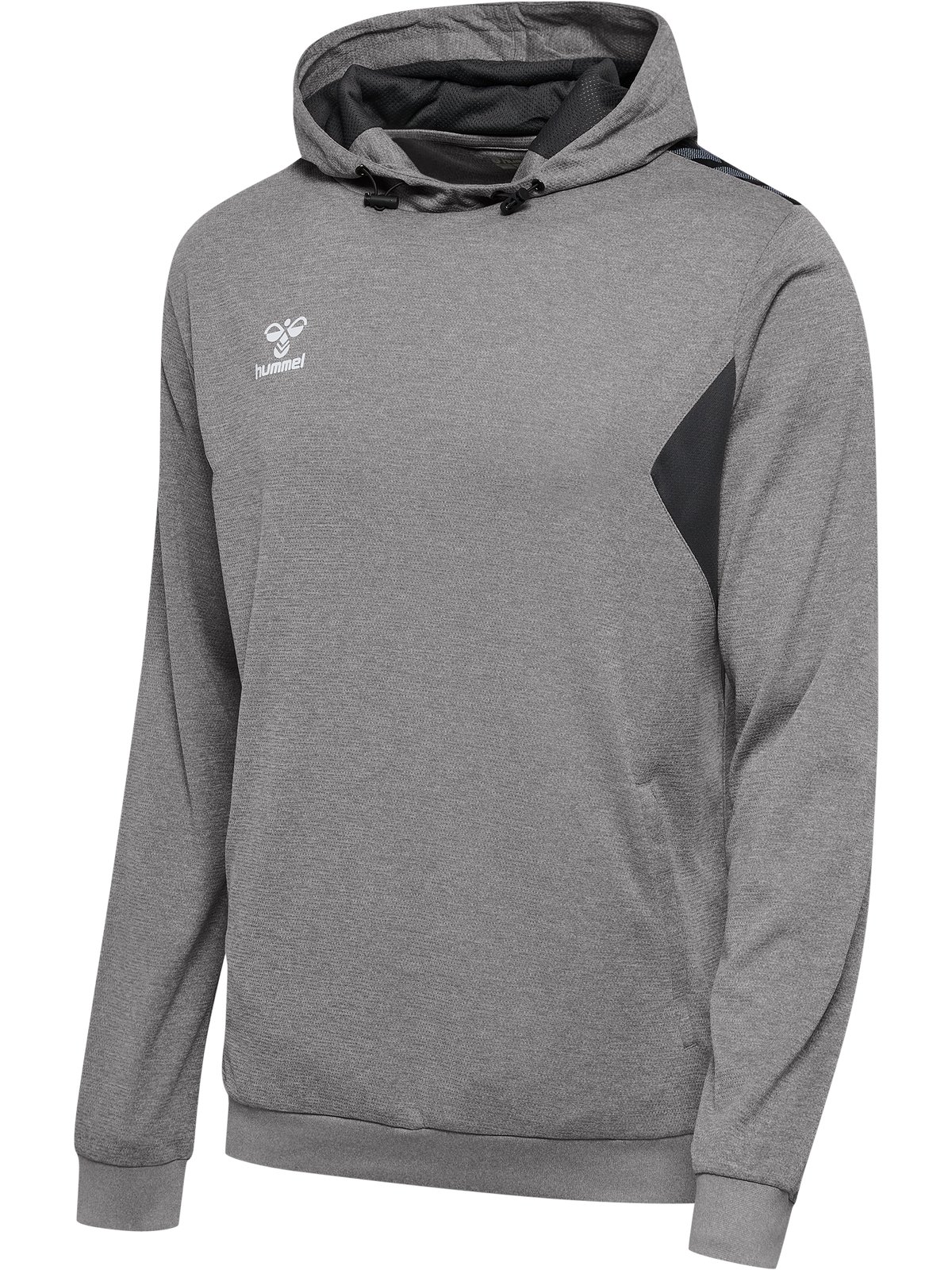 hmlAUTHENTIC PL HOODIE