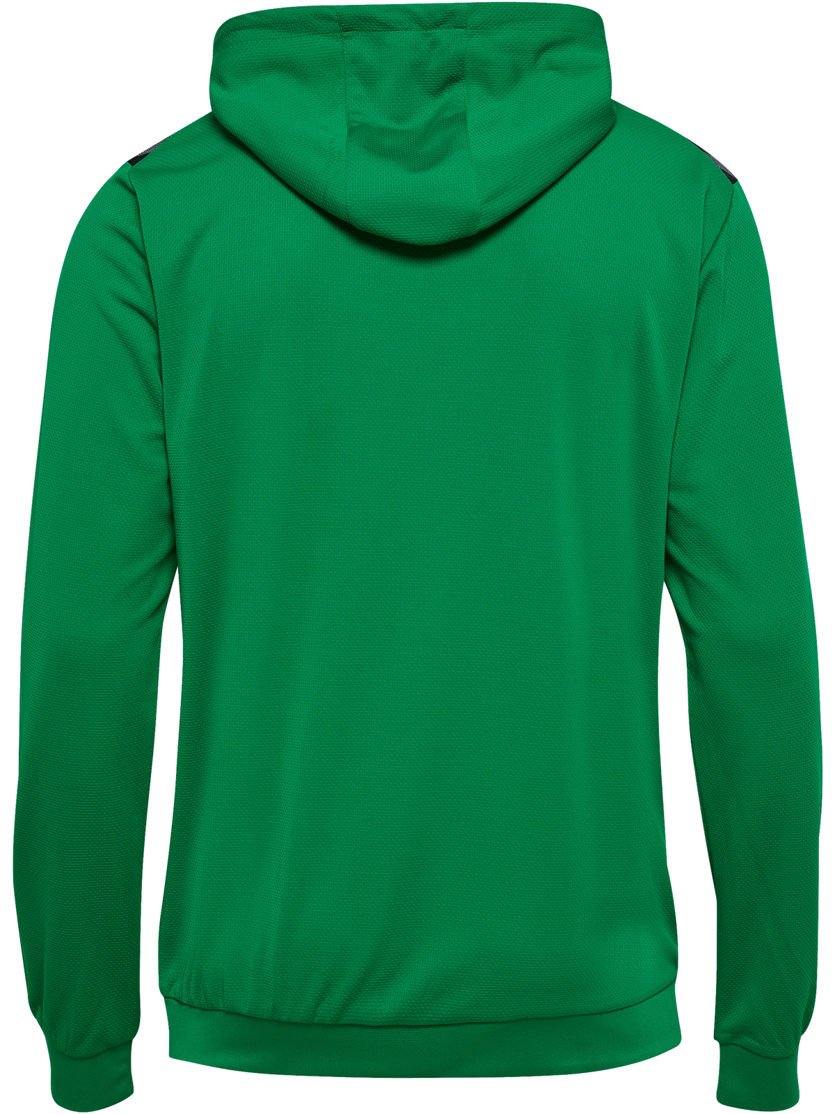 hmlAUTHENTIC PL HOODIE
