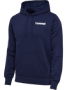 hmlMOTION CO HOODIE