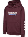 hmlJR LOGO HOODIE
