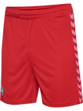 WER 23/24 GK SHORTS