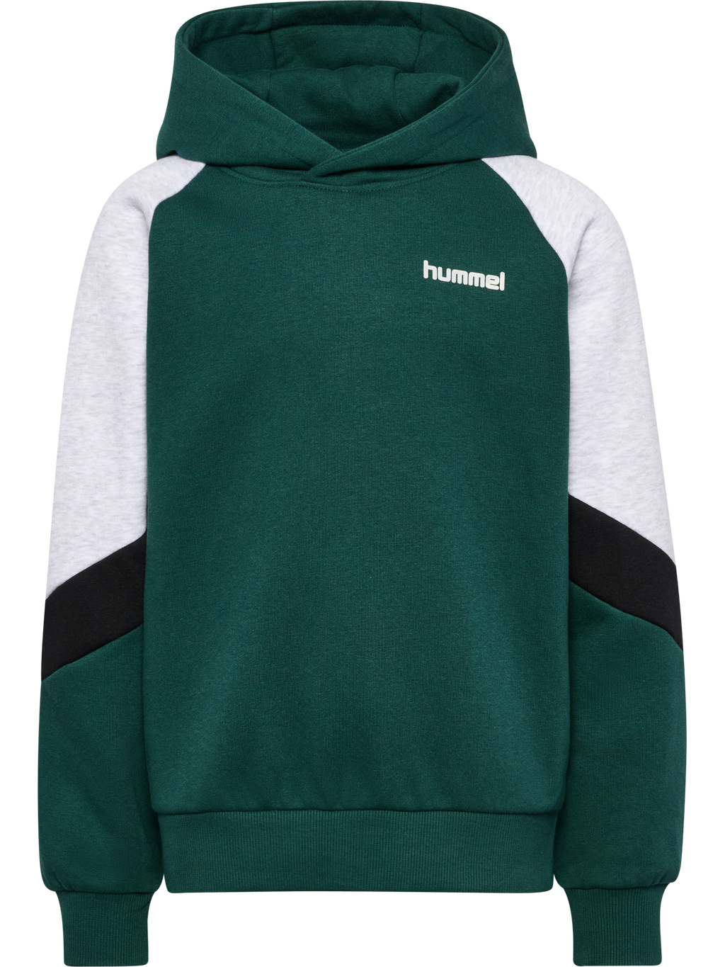 hmlJR LOOSE BLOCKED HOODIE