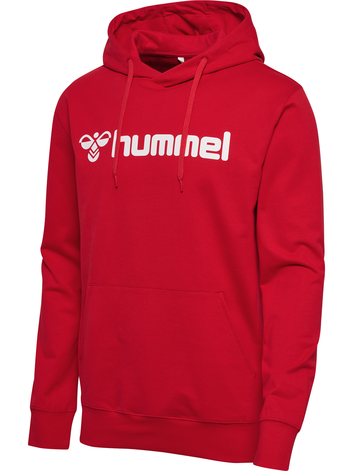 hmlGO 2.0 LOGO HOODIE
