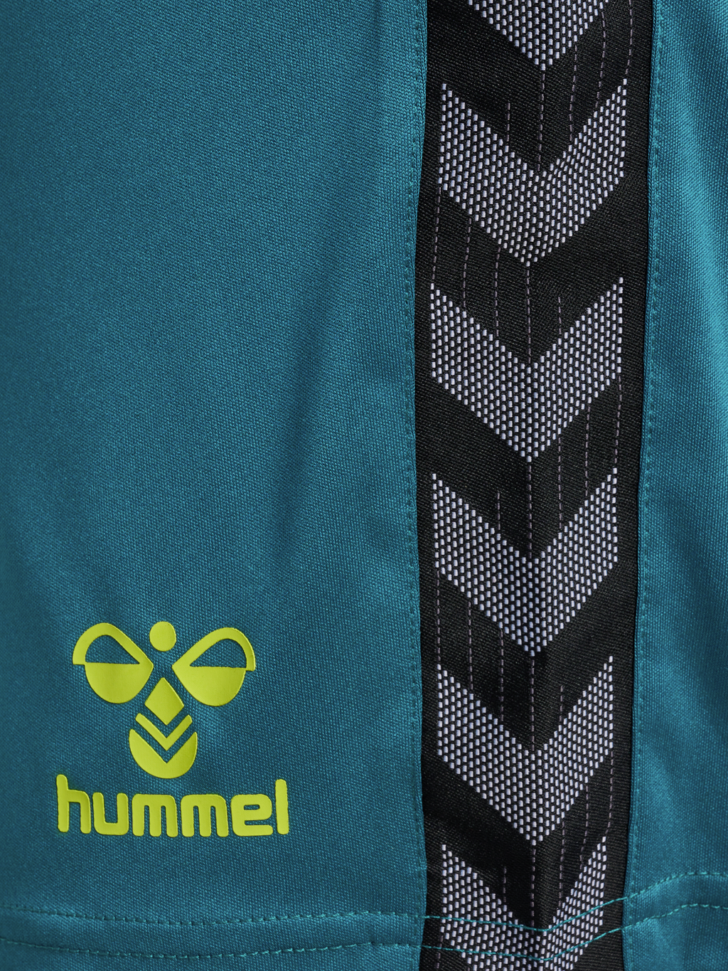 hmlAUTHENTIC PL SHORTS