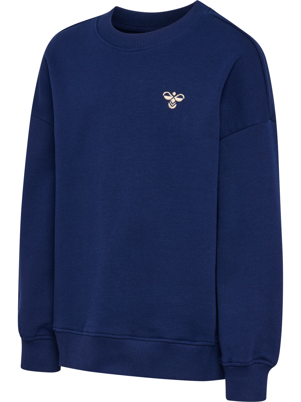 hmlJR JUMP BOXY SWEATSHIRT