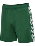 hmlARCHIVE REGULAR SHORTS